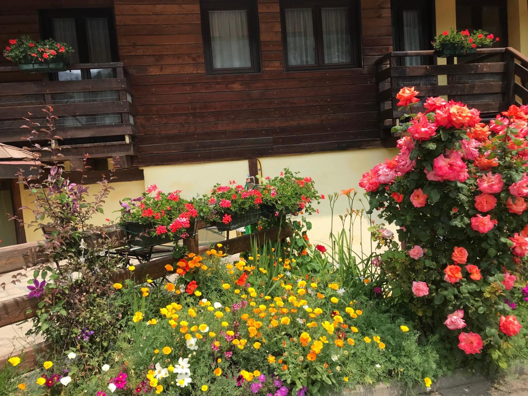 Hotel Ca Fiore Bardonecchia Εξωτερικό φωτογραφία